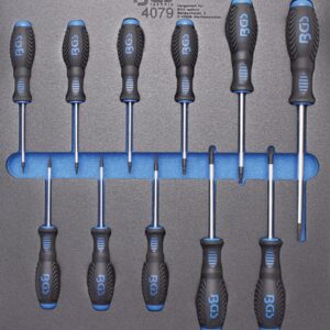 Bandeja para carro 2/3: Destornilladores perfil en T (para Torx) T6 - T40, 11 piezas