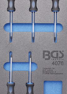 Bandeja para carro 1/3: Destornilladores perfil en T (para Torx), 5 piezas