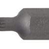 REF.:4850 Punta entrada 10 mm (3/8") dentado múltiple interior (para XZN) M5
