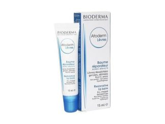 ATODERM BALSAMO LABIOS BIODERMA 1 ENVASE 15 ML
