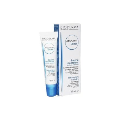 ATODERM BALSAMO LABIOS BIODERMA 1 ENVASE 15 ML